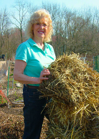 Mary and her hay